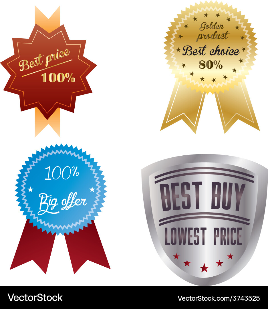 A set labels with text and different designs vector image