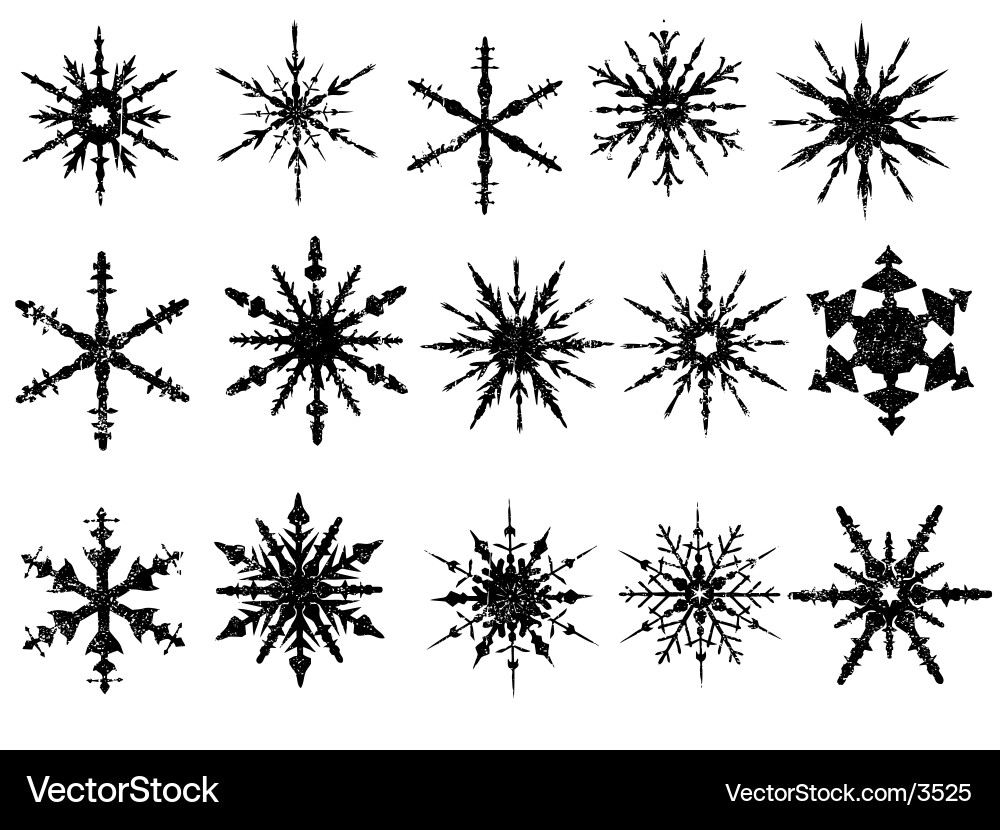 Frozen Snowflake Elements vector image