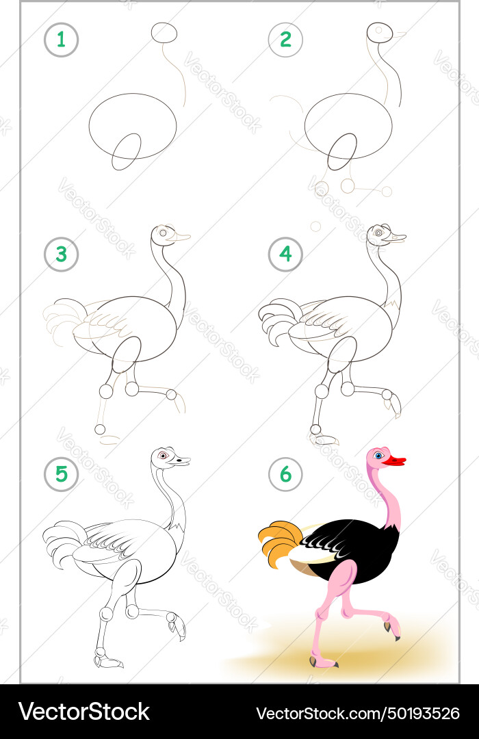 Page shows how to learn step by draw Page shows how to learn step by draw vector image