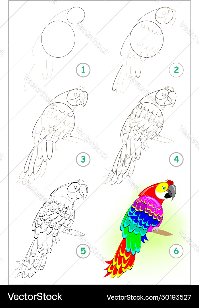 Page shows how to learn step by draw Page shows how to learn step by draw vector image
