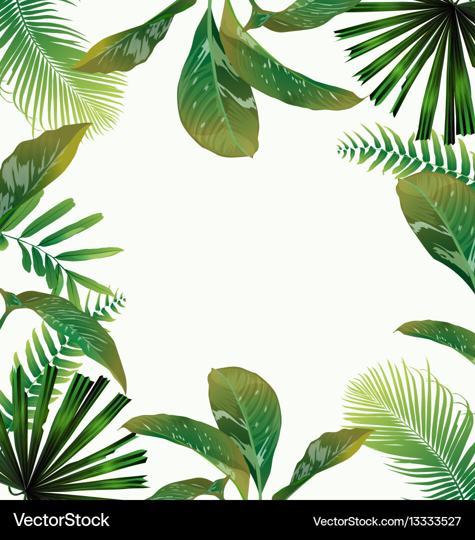 Tropical Leaf Poster Vector Image