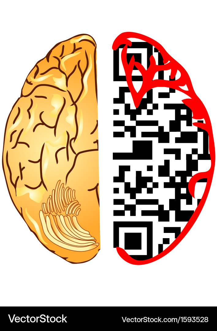 brainページ Axis Scientific 1.5 Times Life-Size Deluxe 4-Part Brain