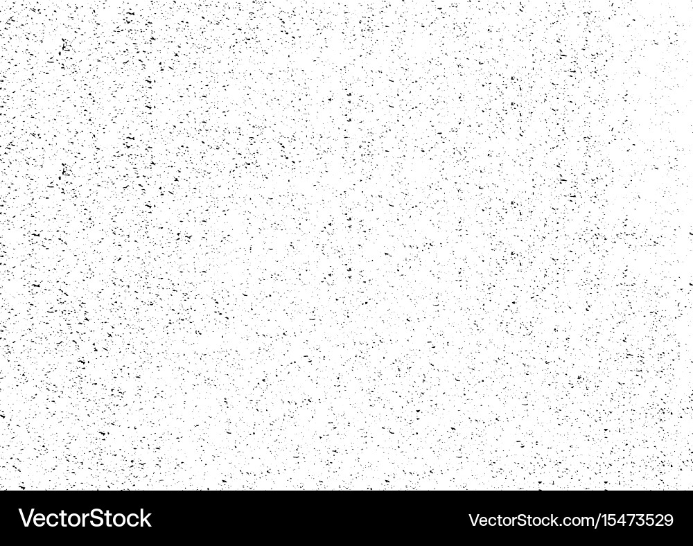 Distressed Black & White Grunge Texture vector image