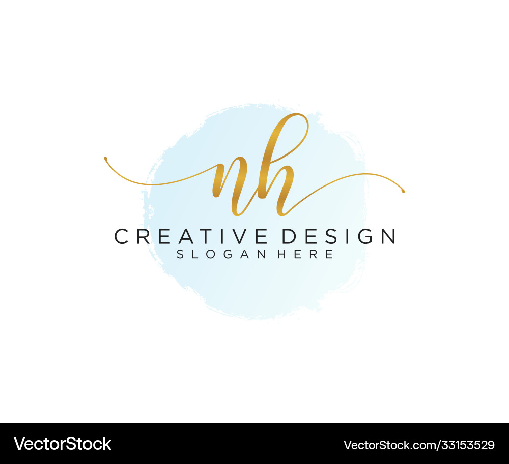 Elegant Initial Logo with Watercolor Script vector image