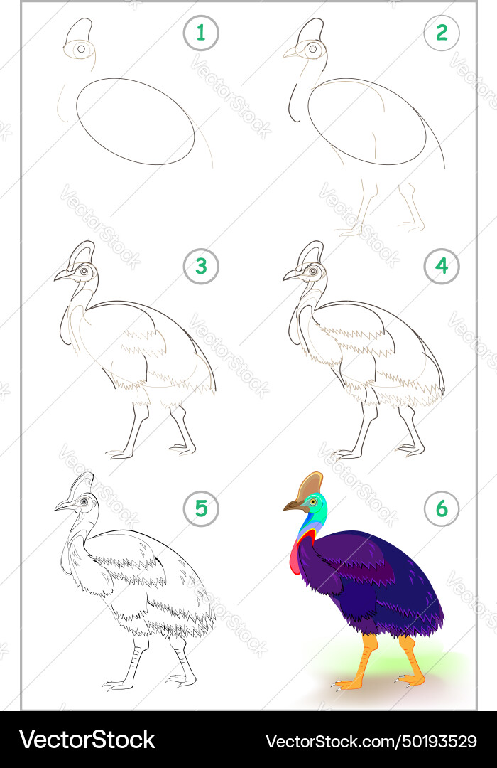 Page shows how to learn step by draw Page shows how to learn step by draw vector image