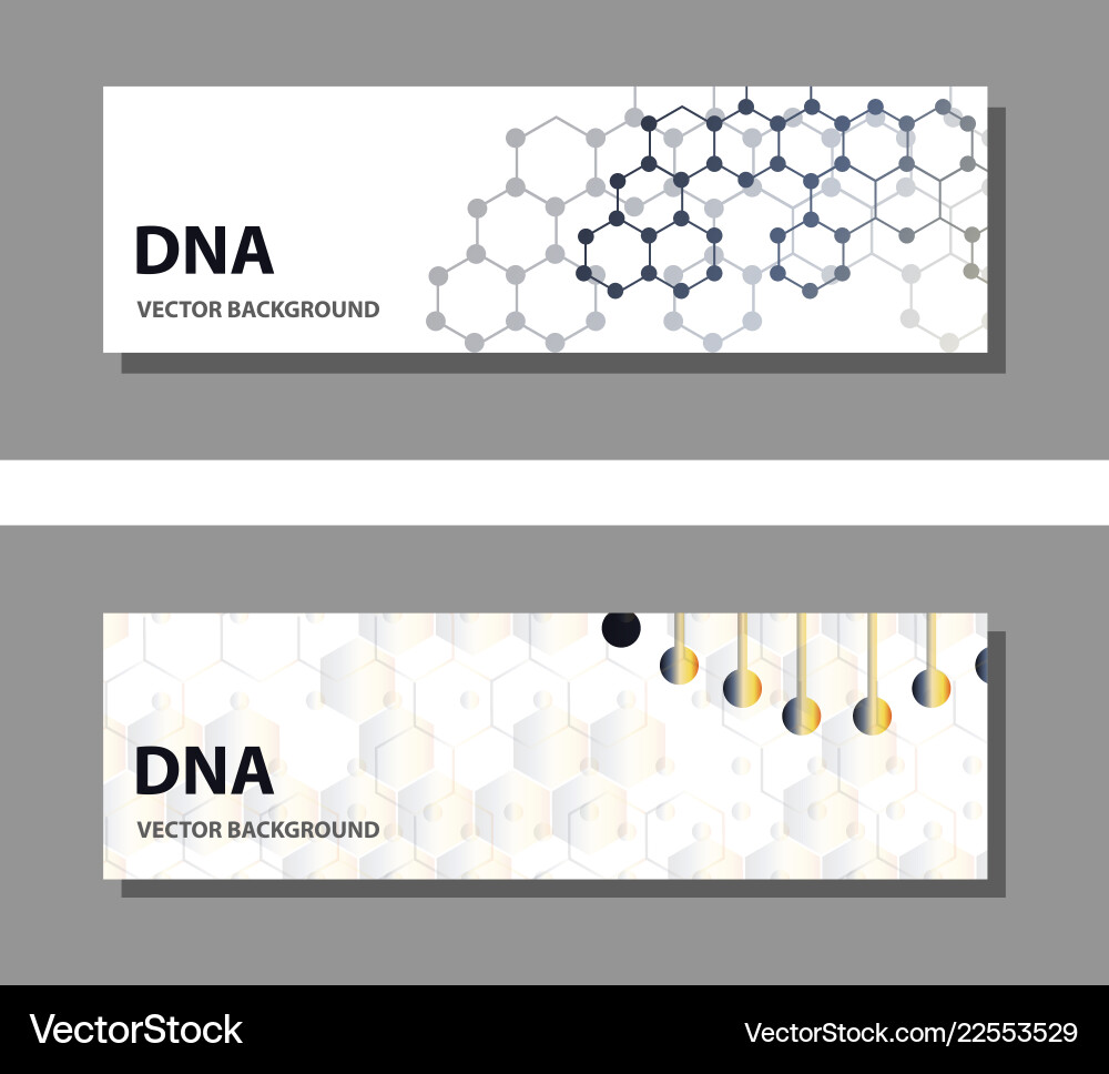 Set of 9 templates for presentation slides vector image