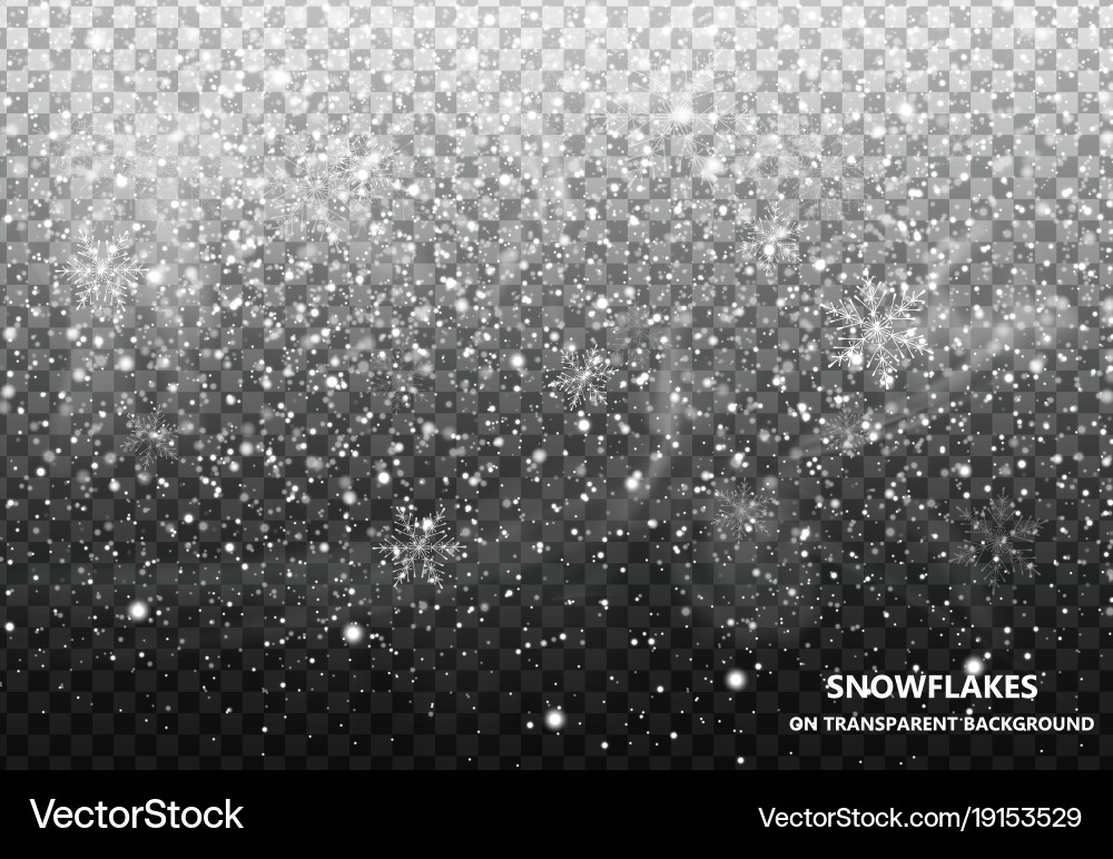 Snowflake Background - White on Transparent Vector Image