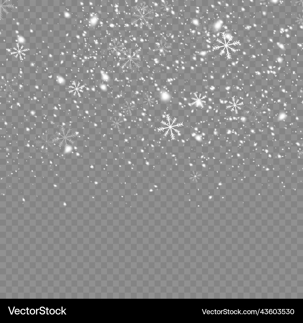 Falling a snow flakes blizzard snowfall snowflake Vector Image