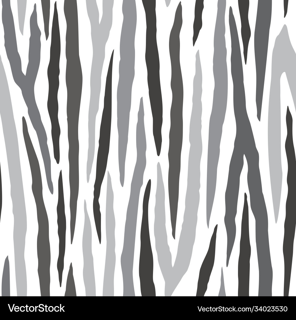 Gray zebra stripe pattern background vector image