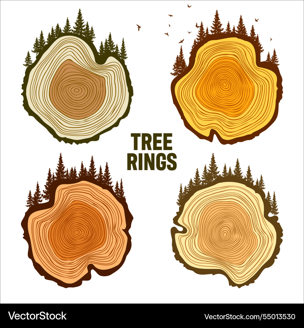 Round tree trunk cuts with trees forest and birds Round tree trunk cuts with trees forest and birds vector image