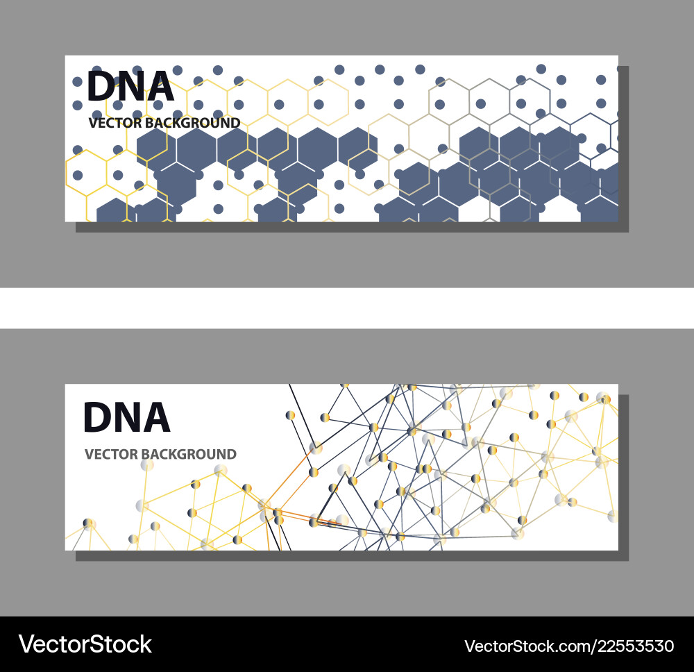 Set of 9 templates for presentation slides vector image