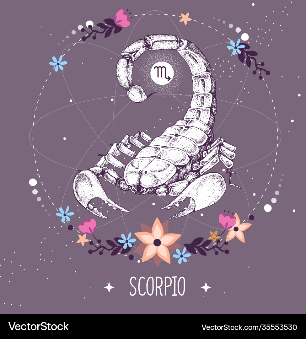 Идеальный партнер для женщины скорпиона. Тайны скорпиона зодиак. Гороскоп на 1 августа 2024 года скорпион. Год зодиака скорпион. Гороскоп на 1 августа 2024 года скорпион.