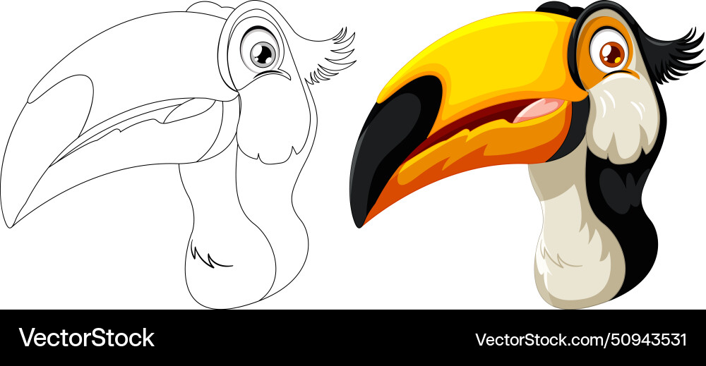Art of a toucan both colored and line Vector Image