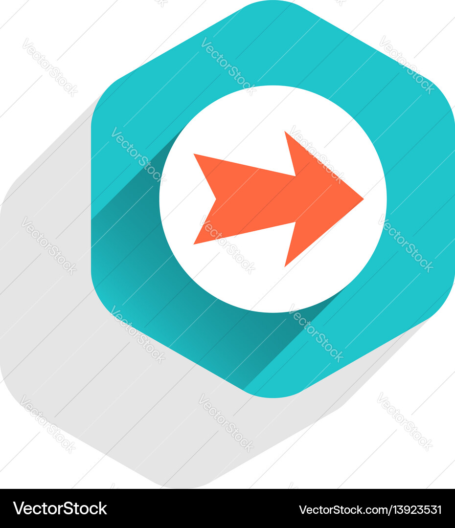Flat arrow sign round icon hexagon button Flat arrow sign round icon hexagon button vector image