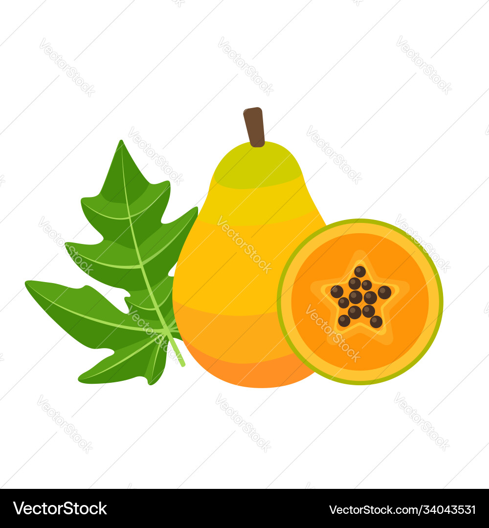 Papaya whole fruit with slice flat design Papaya whole fruit with slice flat design vector image