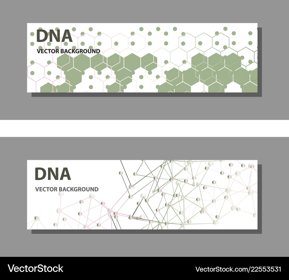 Set of 9 templates for presentation slides Vector Image