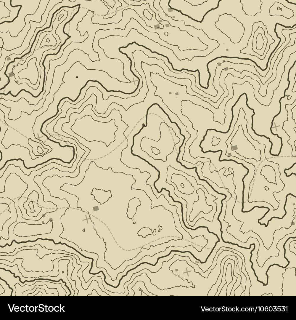 Topographic Map Pattern Vector Image