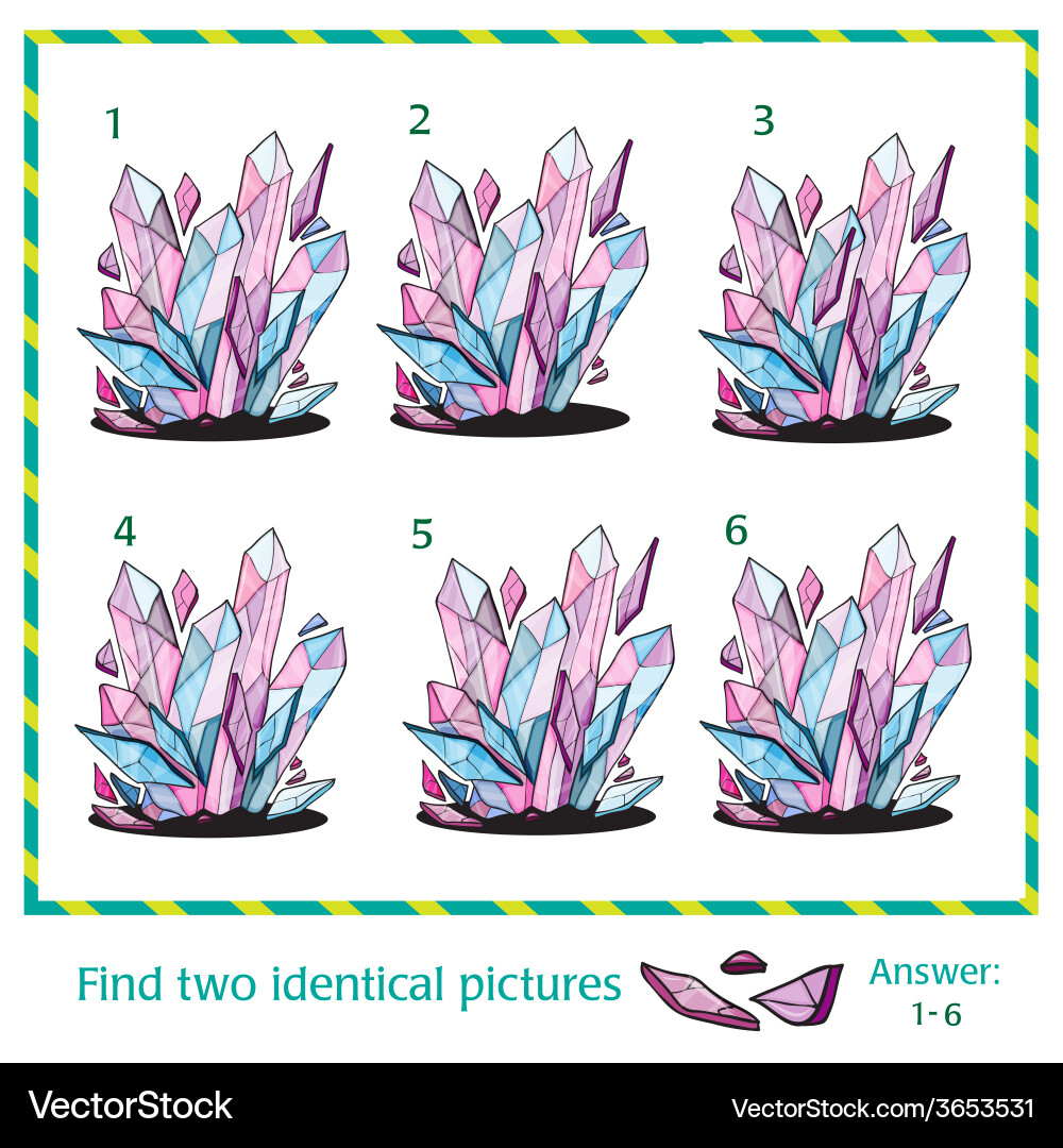 Visual puzzle - find two identical images vector image
