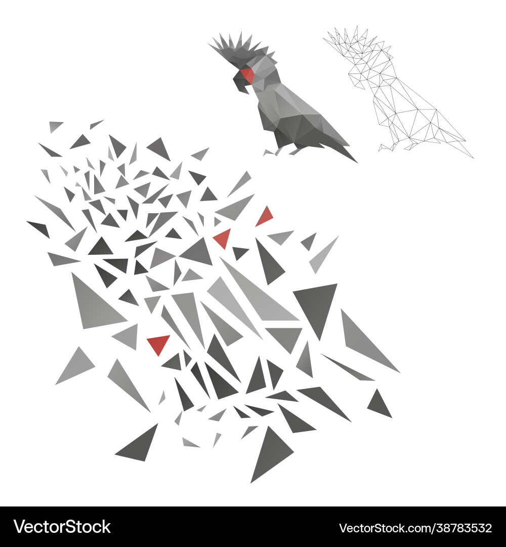 Educational game constructor puzzle from triangle Educational game constructor puzzle from triangle vector image