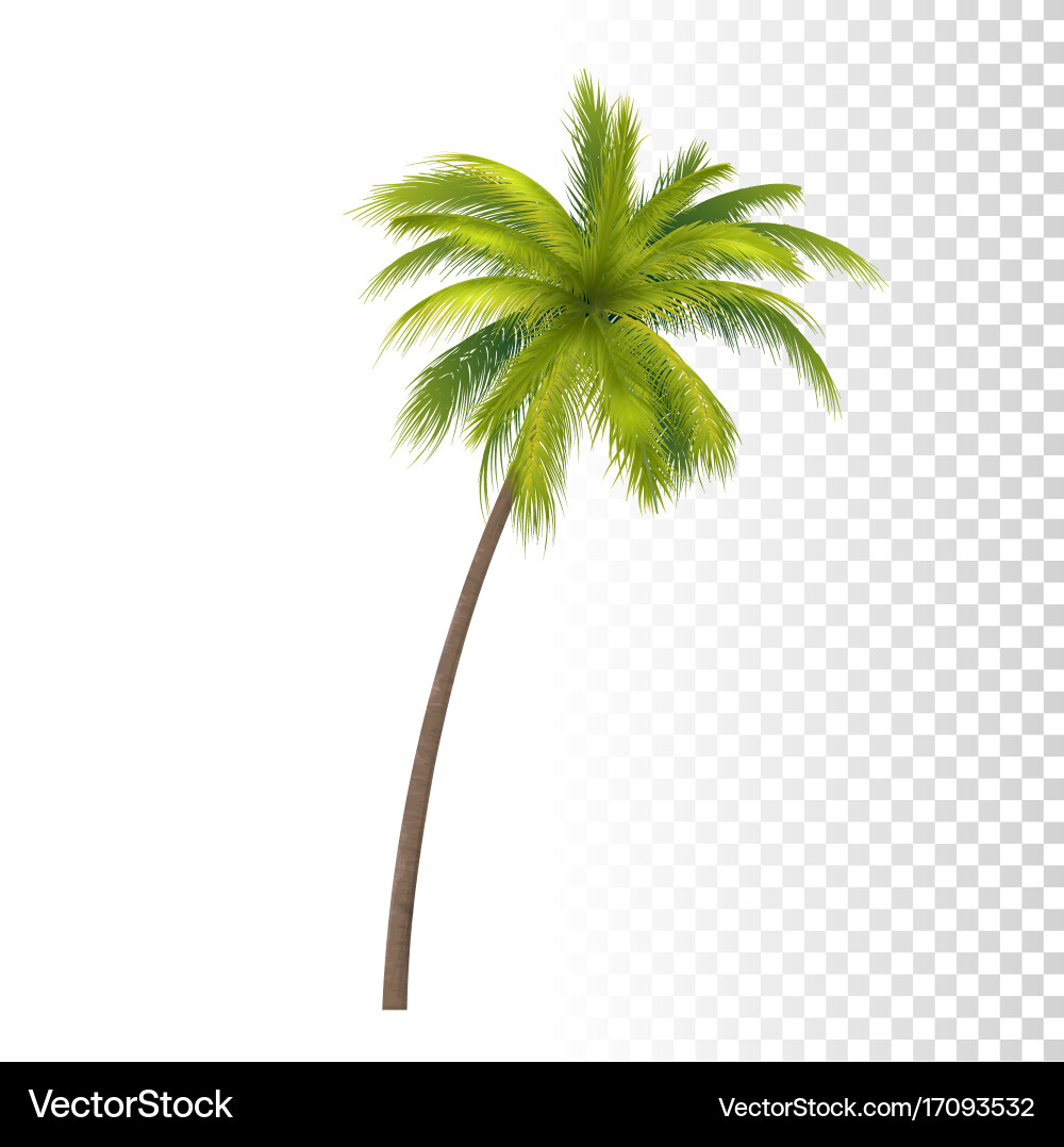 Green Palm Tree Royalty Free Vector Image - VectorStock