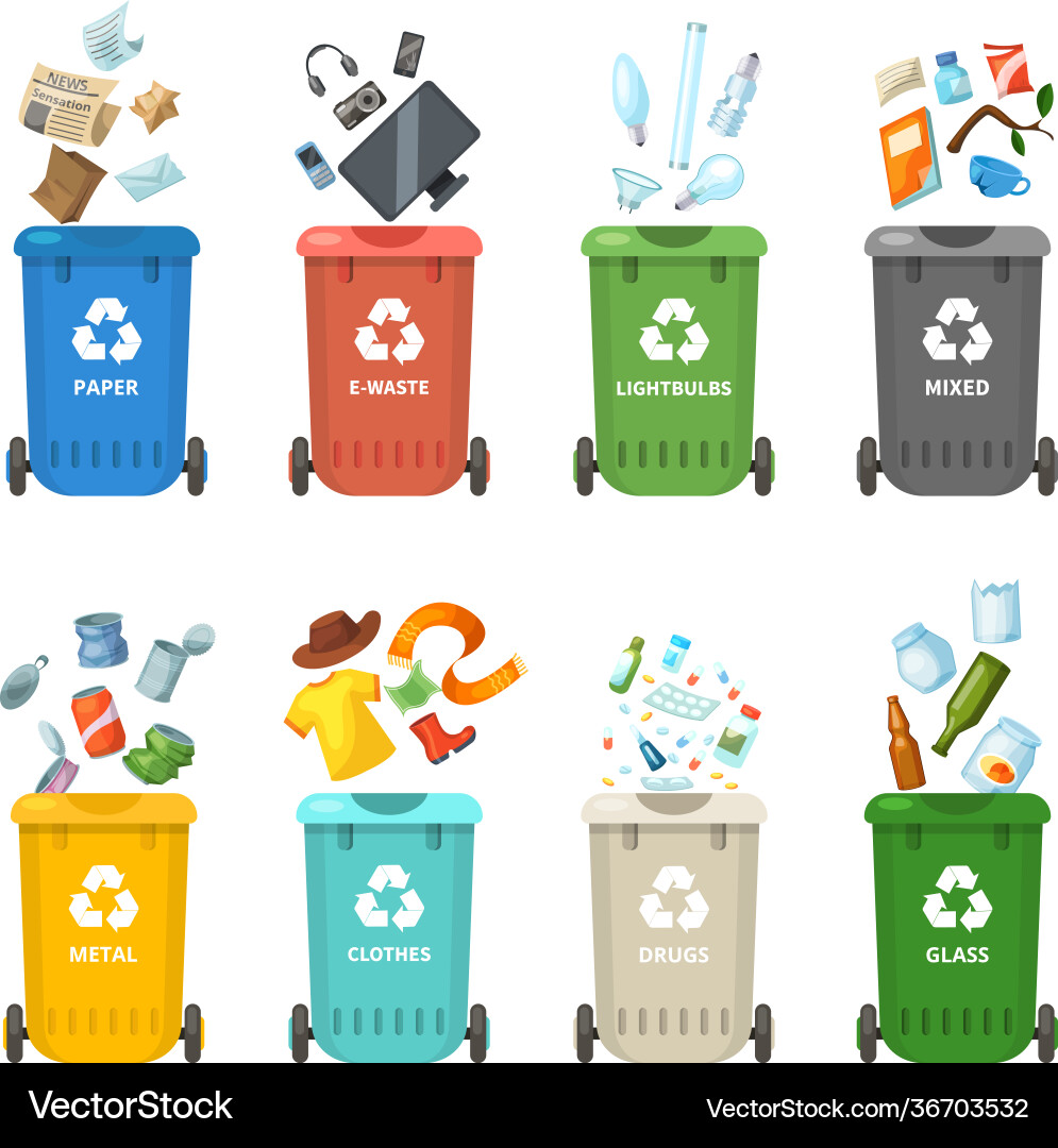 Trash in garbage cans with sorted vector image