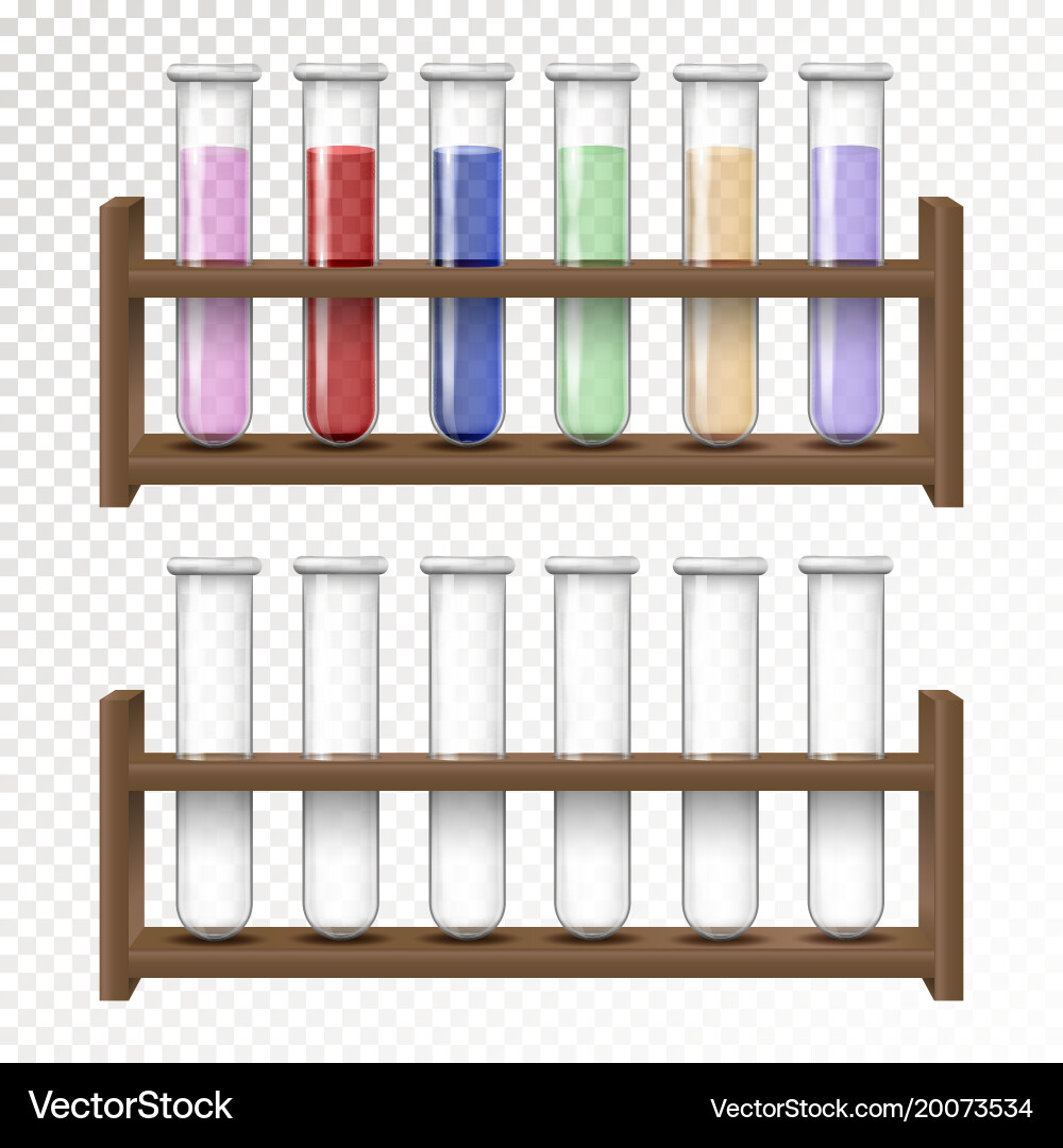 Empty and filled flask for chemical lab vector image