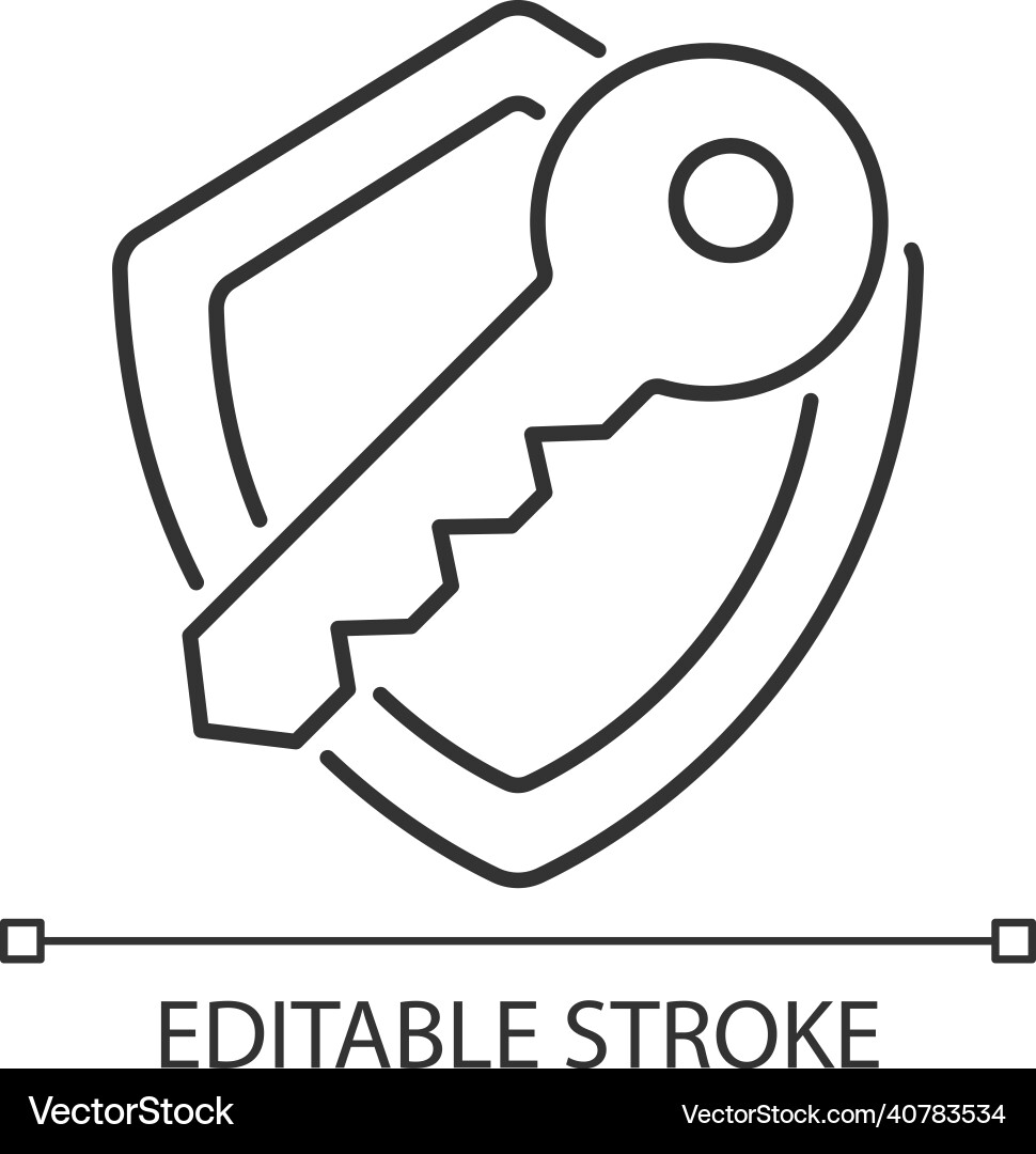 Encryption key linear icon vector image