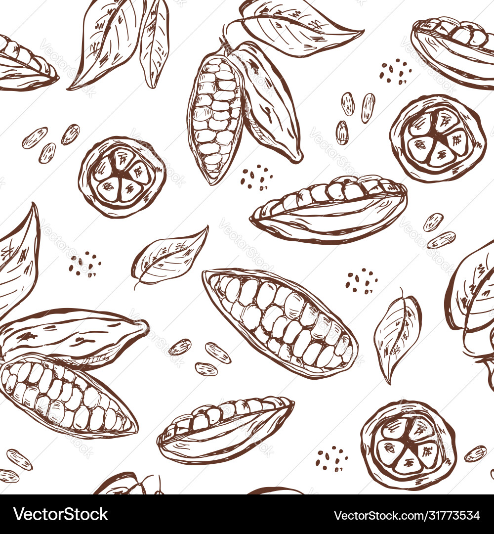 Seamless pattern with cocoa pods beans and leaves vector image