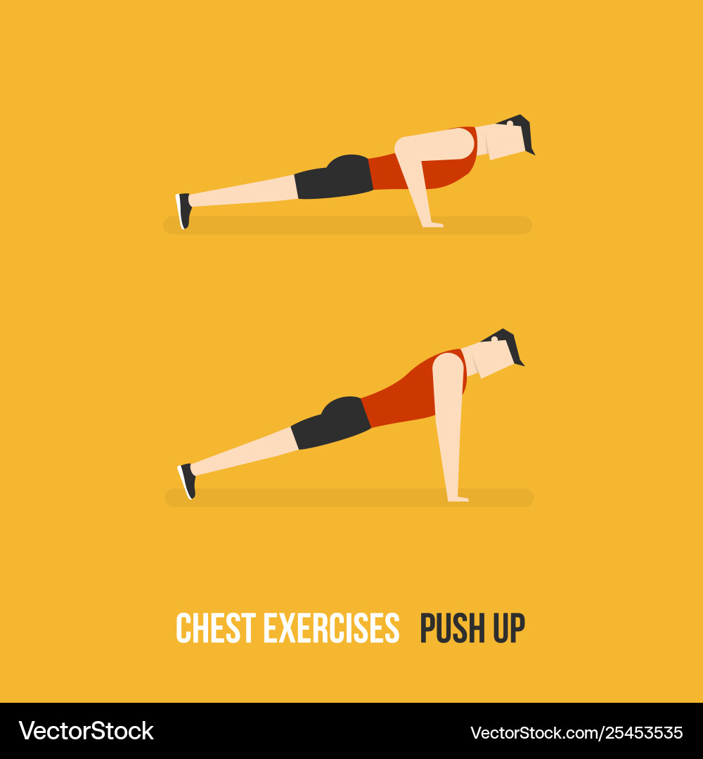 Chest exercises push up Chest exercises push up vector image