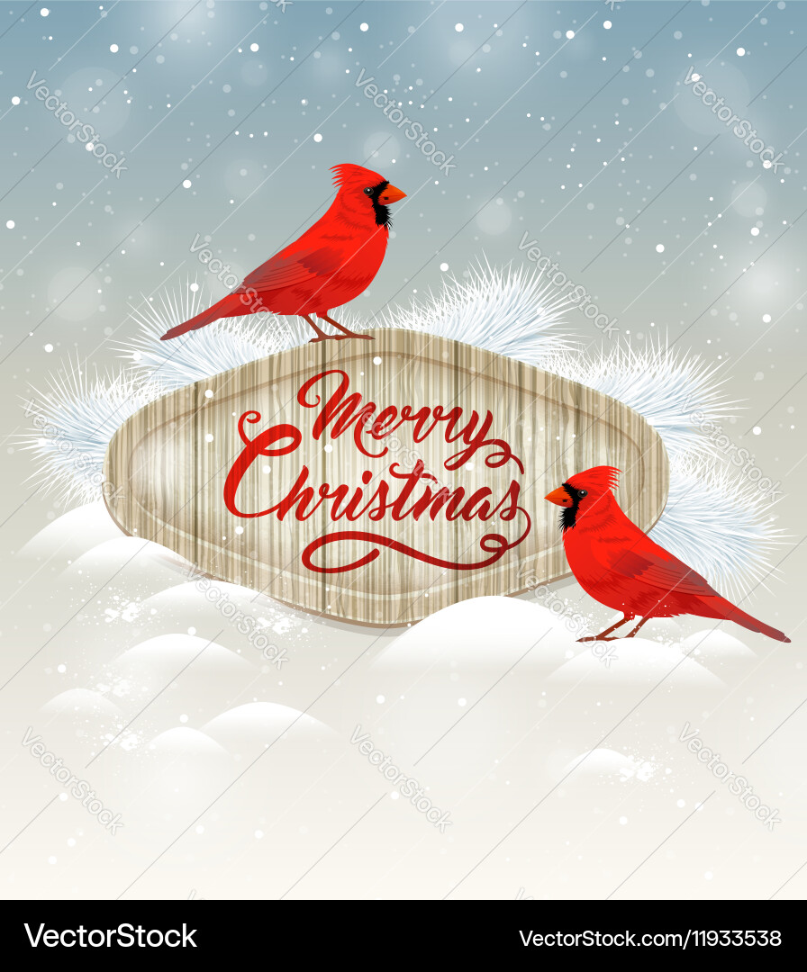 Christmas Cardinal Background Vector Image
