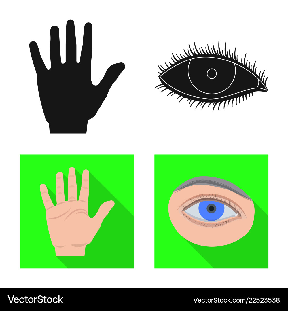Isolated object of human and part symbol set vector image