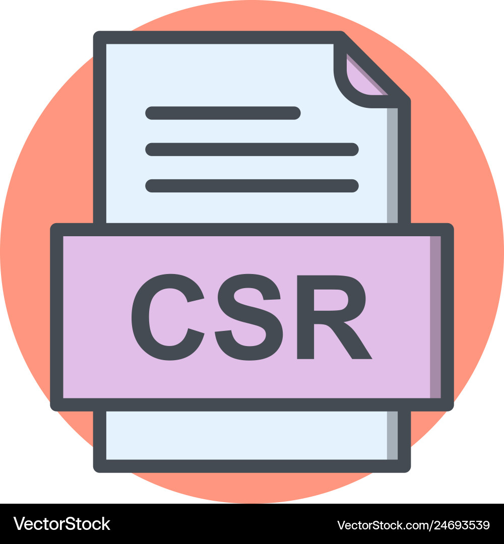 Csr file document icon vector image
