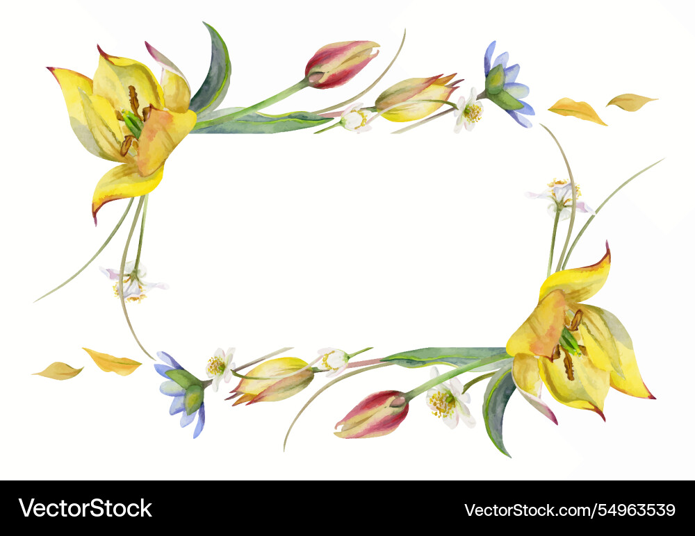 Spring flowers yellow and red tulip white forest Spring flowers yellow and red tulip white forest vector image