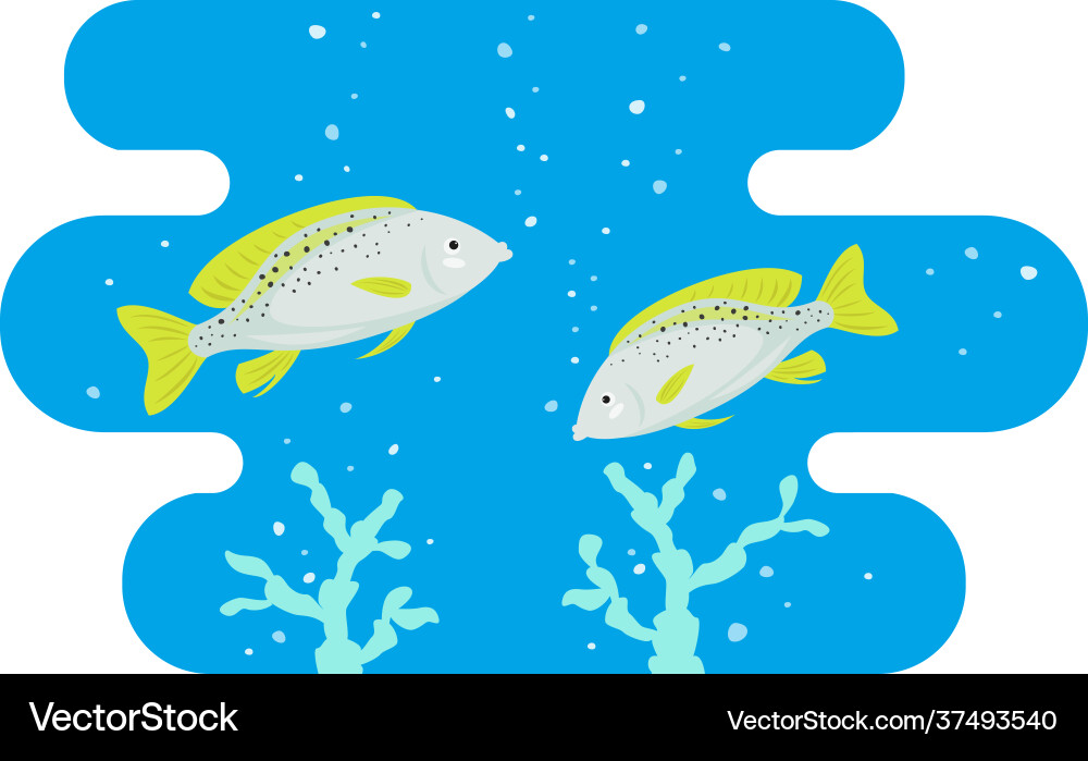 Cartoon fishes icon on blue background Cartoon fishes icon on blue background vector image