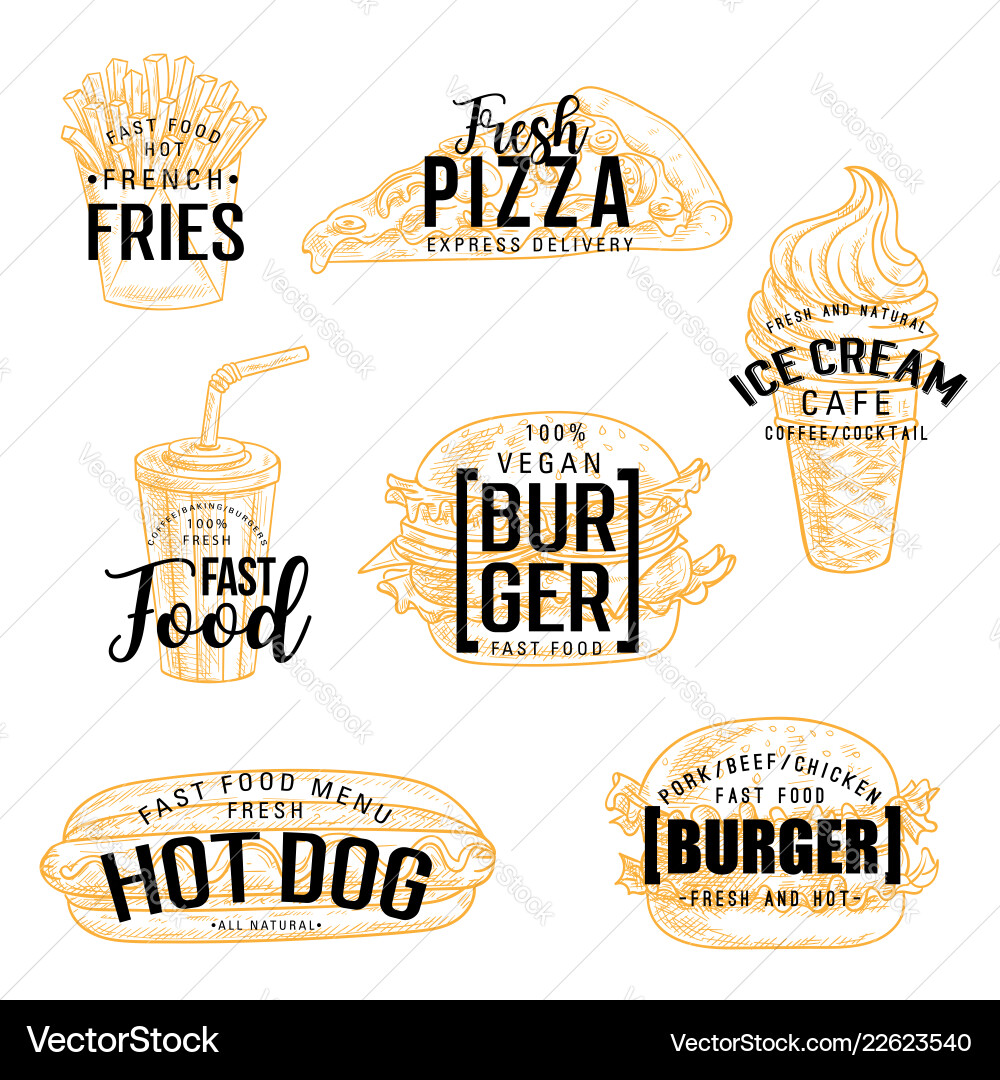 Fast food snack and drinks lettering vector image