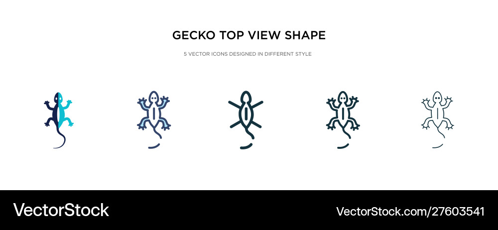 Gecko top view shape icon in different style two vector image