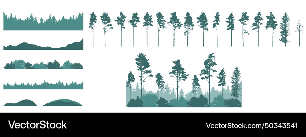 Set of forest element pine trees beautiful Vector Image