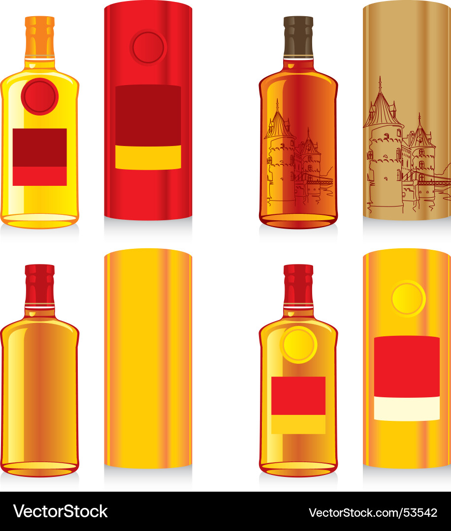 Whiskey Bottles and Boxes Set Vector Image
