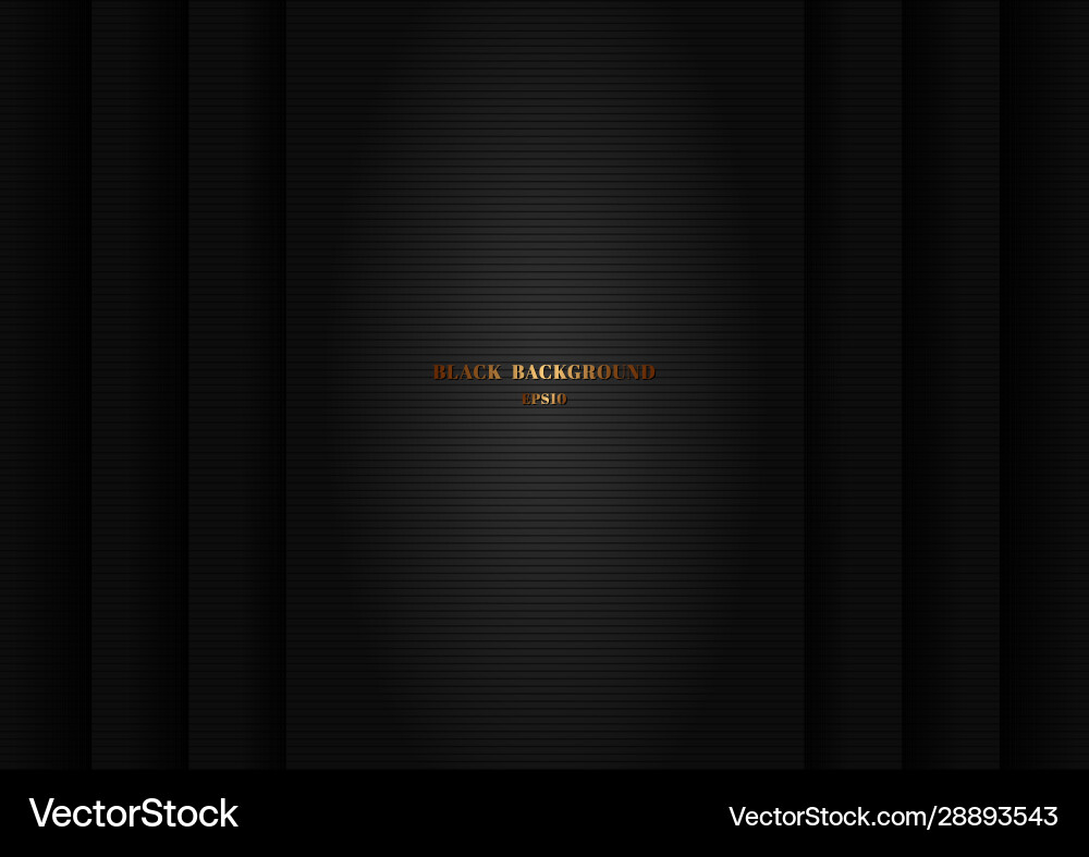Abstract black shiny layer with stripes lines Abstract black shiny layer with stripes lines vector image