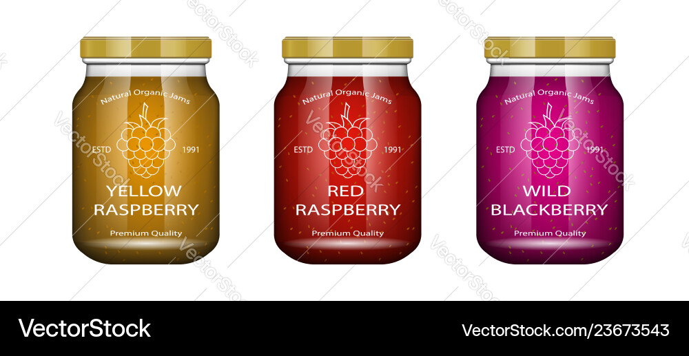 Glass jar with jam and configure raspberry Glass jar with jam and configure raspberry vector image