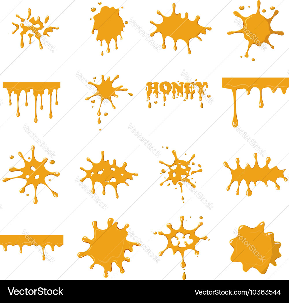 Honey Drips and Spots vector image