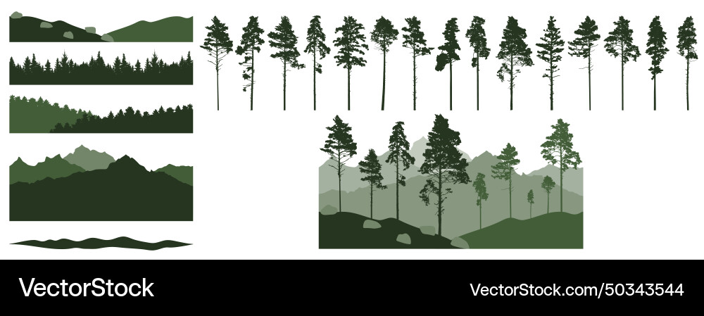 Set of forest element pine trees beautiful vector image