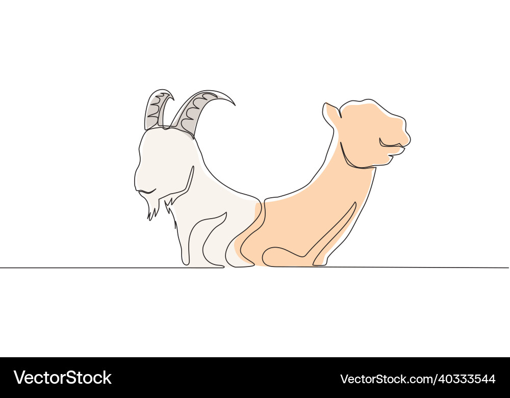 Single continuous line drawing of goat and camel vector image