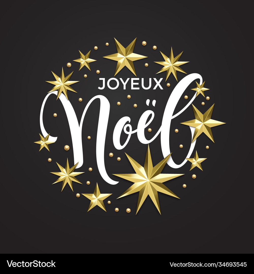 Joyeux noel french merry christmas golden star Joyeux noel french merry christmas golden star vector image
