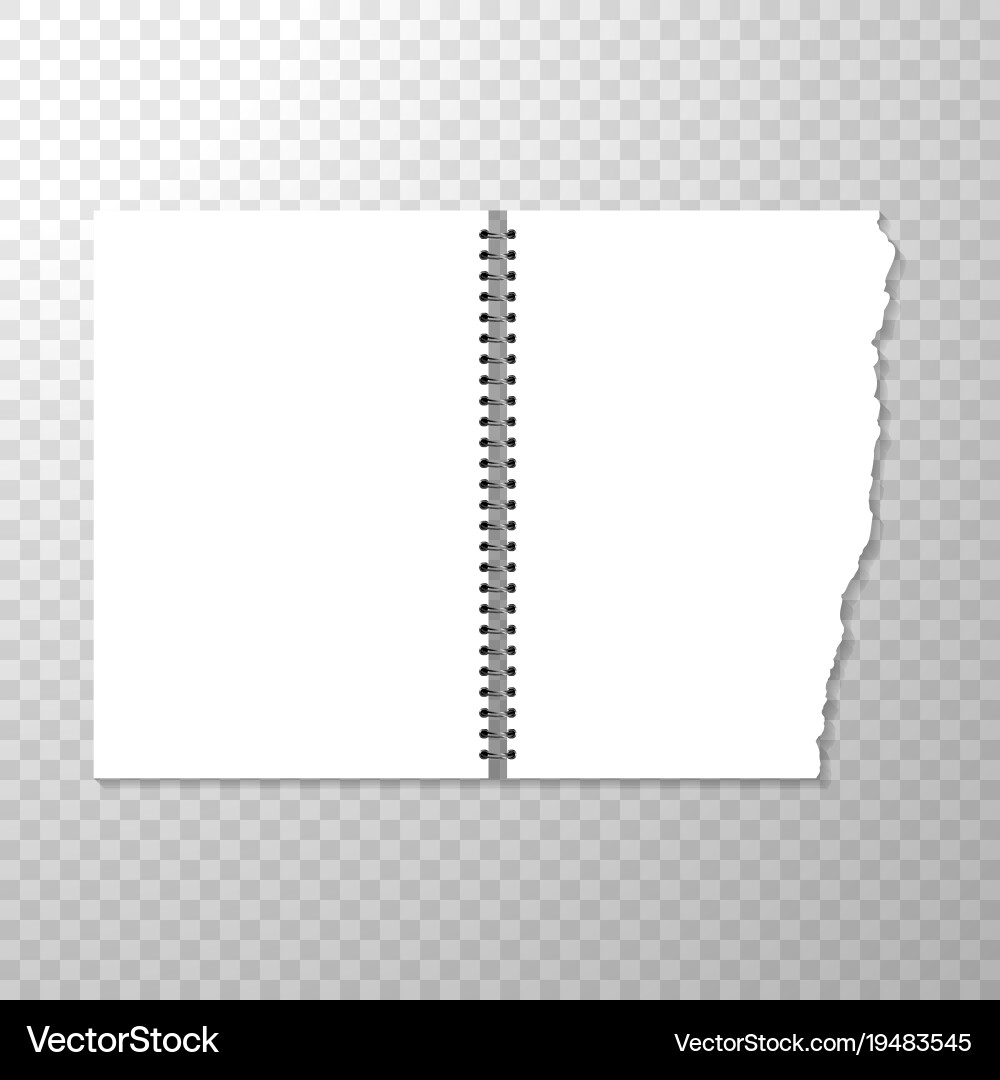 Opened notebook template with blank page torn vector image