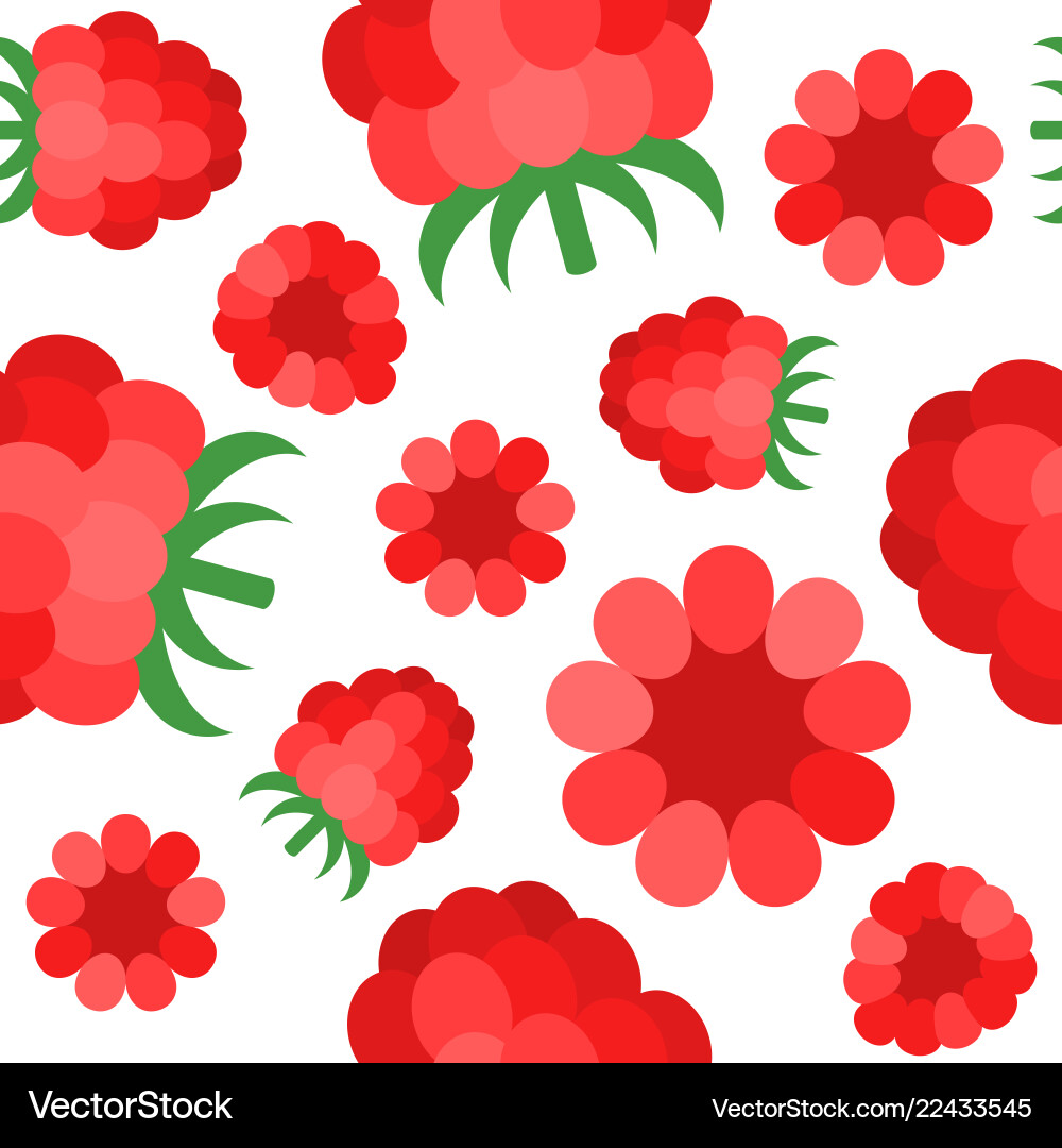 Raspberry Seamless Pattern vector image