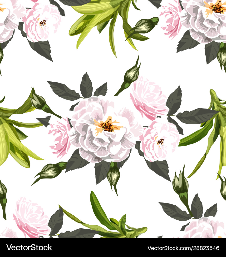 Elegant Rose Seamless Pattern Vector Image