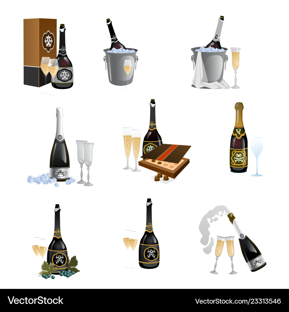 Set of bottles with closed and opened champagne vector image