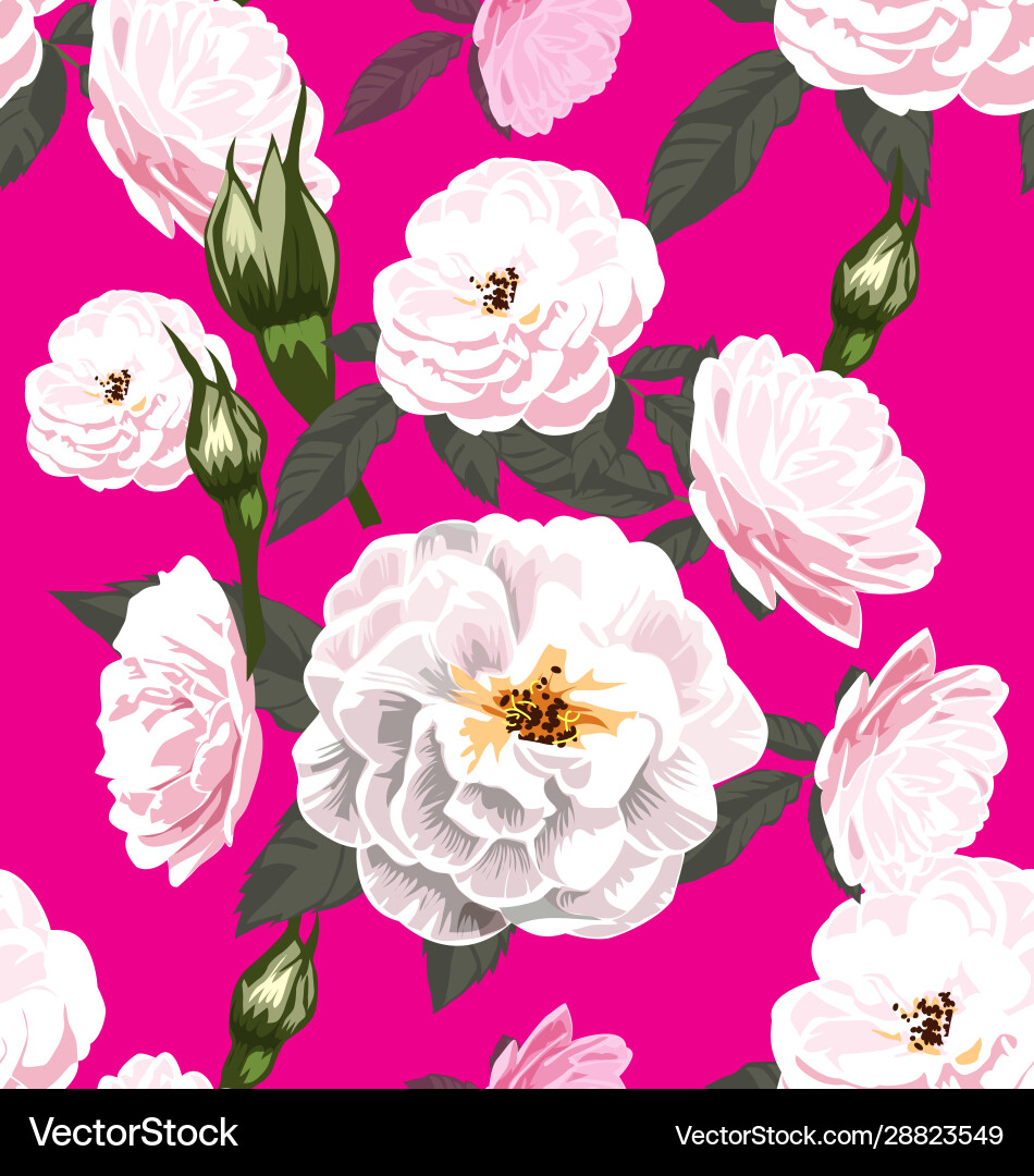 Pink Rose Seamless Pattern Vector Image