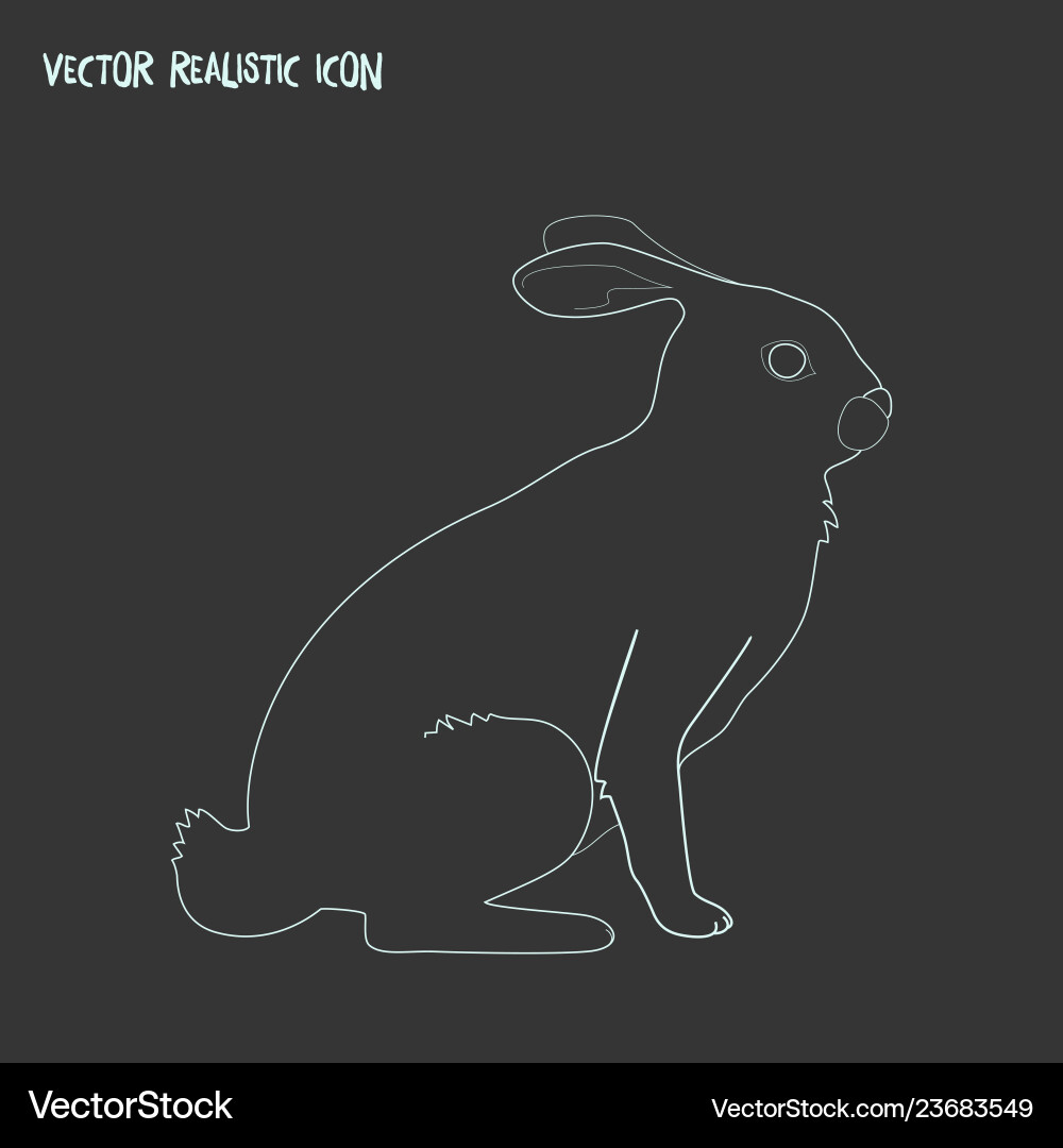 Rabbit icon line element vector image